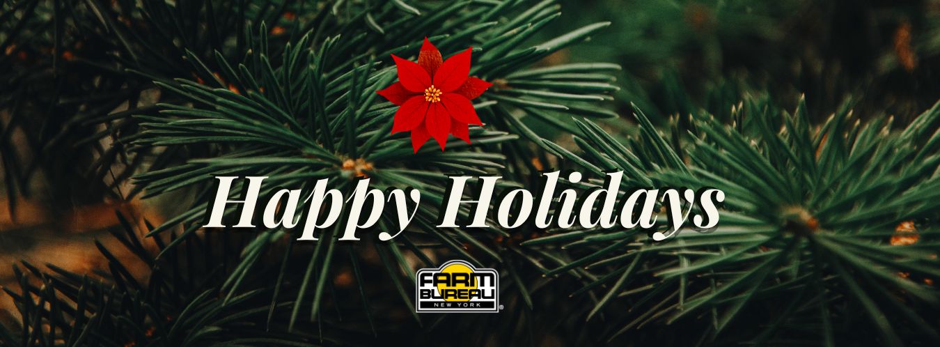 YF&R web slide (1350 x 498 px).jpg