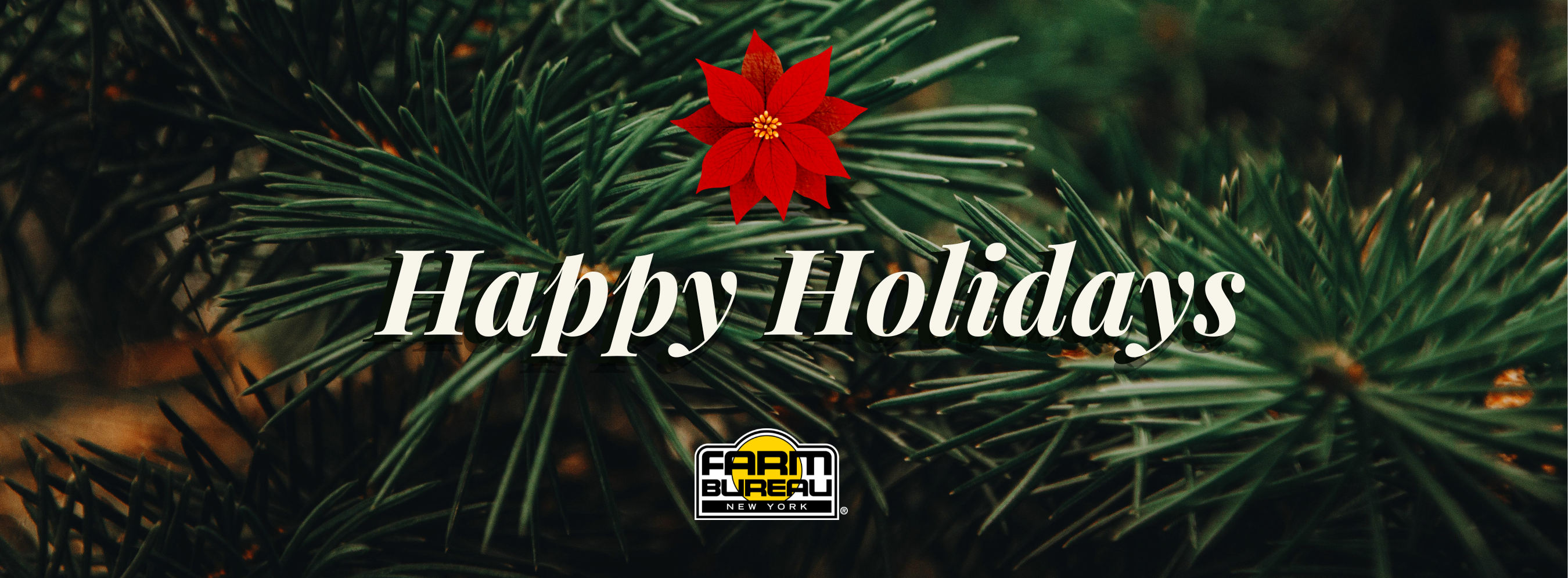 web slides dec. 2025 (1).png