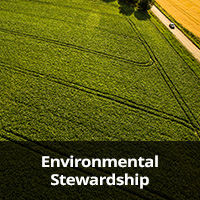Environmental-Stewardship.jpg