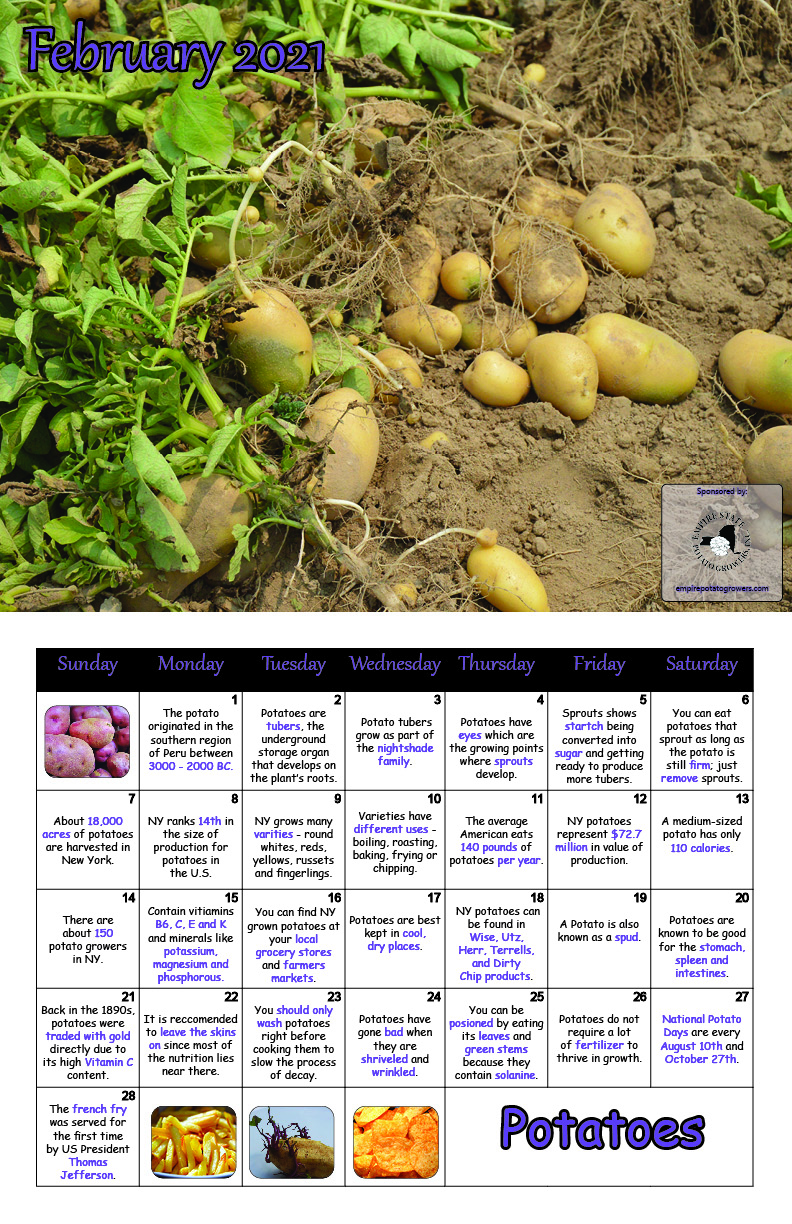 February 2021 Potatoes New York Farm Bureau